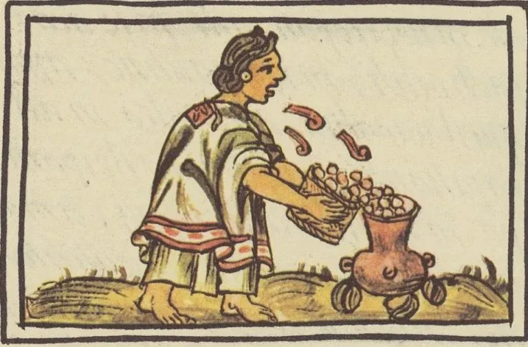 Aztec-era codex illustration of hominy being prepared, a public domain historical image